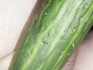 Trimmed inverted fuck-stick meets cucumber