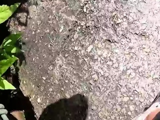 Campingvlog - Creampie