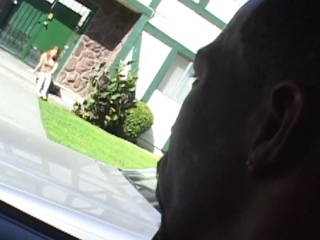 Interracial blowjob outdoors sucking big cock in hd